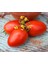 Roma Domates Tohumu Geleneksel Rome Tomato Heirloom Seeds 1