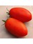 Roma Domates Tohumu Geleneksel Rome Tomato Heirloom Seeds 3