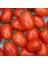 Roma Domates Tohumu Geleneksel Rome Tomato Heirloom Seeds 4