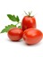 Roma Domates Tohumu Geleneksel Rome Tomato Heirloom Seeds 5