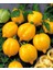 Sarı Limon Domates Tohumu Geleneksel Heirloom Plum Lemon Tomato 2
