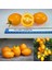 Sarı Limon Domates Tohumu Geleneksel Heirloom Plum Lemon Tomato 5