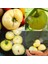 Beyaz Söğüşlük Domates Tohumu Geleneksel White Wonder Tomato Seeds 2
