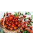Ciliegia Salkım Domates Tohumu Geleneksel Kiraz Tipi Ciliegia Tomato Seeds 4