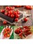 Geleneksel Mini Çeri Domates Tohumu Small Red Cherry 5
