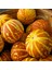 Kokulu Süs Kavunu Tohumu Tigger Melon Seeds 4