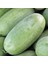 Çarliston Bahçe Karpuzu Tohumu Charleston Gray Watermelon Seeds 2