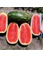 All Sweet Karpuz Tohumu Geleneksel All Sweet Heirloom Watermelon Seeds 1