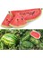 All Sweet Karpuz Tohumu Geleneksel All Sweet Heirloom Watermelon Seeds 2