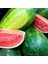 All Sweet Karpuz Tohumu Geleneksel All Sweet Heirloom Watermelon Seeds 5