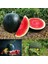 Moon And Stars Karpuz Tohumu Geleneksel Heirloom Watermelon Seeds 4