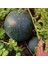 Moon And Stars Karpuz Tohumu Geleneksel Heirloom Watermelon Seeds 5