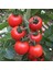 Iri Boy Çeri Domates Tohumu Big Red Cherry Kiraz Tipi Heirloom 5
