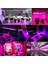 gr LED Grow Işık Şeridi Su Geçirmez Enerji Tasarruflu Tam Spektrum Kapalı Bitki Sebze Için Lamba Büyütün (Yurt Dışından) 4