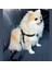 Control Leash Eğitim ve Egzersiz Kontrol Kayışı Medium 2