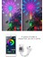 LED Müzikli Işık Şeridi 30LED/M Rgb Bluetooth Tam Renkli Yıldızlı Noel Atmosferi Düğün Dekorasyon Işıkları Abd Plug (Yurt Dışından) 4