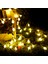 LED Dize Işıklar Peri Topu Çelenk Işıkları Su Geçirmez Açık Hava Lambası Noel Tatili Düğün Parti Işıkları Dekor Abd Plug (Yurt Dışından) 1