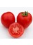 Kırmızı Başlıklı Kız Saksı Domates Tohumu Rotkappchen Tomato 5