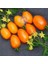 Turuncu Salkım Domates Tohumu Orange Banana Tomato Seeds 1