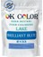 Lake Brilliant Blue E133 Mavi Yağ Bazlı Toz Gıda Boyası 1 kg 1