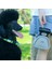 Sarı L Köpek Atık Toplayıcı Temizleme Araçları Pet Seyahat Katlanabilir Pooper Scooper Temiz Pick Up Pet Köpek sı Temizleme Araçları Köpek Aksesuarları (Yurt Dışından) 4