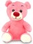 Sevimli 20 cm Ayıcık Peluş Hediye 1