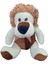 Peluş Aslan 1