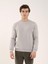 Taş Erkek Regular Fit Bisiklet Yaka Sweatshirt 1