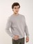 Taş Erkek Regular Fit Bisiklet Yaka Sweatshirt 3