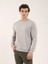 Taş Erkek Regular Fit Bisiklet Yaka Sweatshirt 4