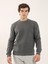 Antrasit Erkek Regular Fit Bisiklet Yaka Sweatshirt 1