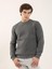 Antrasit Erkek Regular Fit Bisiklet Yaka Sweatshirt 2