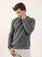 Antrasit Erkek Regular Fit Bisiklet Yaka Sweatshirt 4