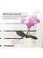 Phalaenopsis Orkide Yaprakları Yapay Gerçek Görünümlü Lateks Kontak Bitkiler Yeşil Sahte Yaprak Aranjmanı, 6 Adet (Yurt Dışından) 4