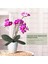 Phalaenopsis Orkide Yaprakları Yapay Gerçek Görünümlü Lateks Kontak Bitkiler Yeşil Sahte Yaprak Aranjmanı, 6 Adet (Yurt Dışından) 5