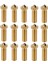15PCS Nozul Seti, 3D Yazıcı 7pcs 0.4mm Pirinç Nozullar ve 2pcs 0.2mm, 0.6mm, 0.8mm, 1.0mm Pirinç Nozullar Seti-Altın (Yurt Dışından) 1