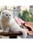 Köpek ve Kedi Fırçası - Evcil Hayvan Bakım Fırçası - Dökülme Bakım Aleti (Küçük Pembe) (Yurt Dışından) 4