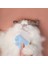 Kedi Kabuğu Tarak, Yüzen Fırça Pet Kedi Temizleme Tarağı, Kedi Masaj Bakım Fırçası ve Bakım Için Köpek Masaj Bakım Fırçası (Mavi) (Yurt Dışından) 2