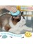 Kedi Tarak Evcil Hayvan Kedi Kısa ve Uzun Epilasyon Masaj Kabuk Tarak Yumuşak Dökülme Fırçası Bakım ve Dökülme Mat Kürk Çıkarıcı Masaj (3 Parça) (Yurt Dışından) 2