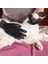 Nazik ve Etkili Patentli Tüy Alma Bakım Eldiveni Tek Beden Köpekler, Atlar, Kediler ve Diğer Hayvanlar Için Tüm Işlere Uygun (1 Çift) (Yurt Dışından) 2