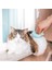 Orijinal Pet Epilasyon Masaj Kabuk Tarak Yumuşak Dökülme Fırçası Bakım ve Dökülme Keçeleşmiş Kürk Sökücü Uzun ve Kısa Için Pas Alma Aracı (Yurt Dışından) 2