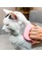 Orijinal Pet Epilasyon Masaj Kabuk Tarak Yumuşak Dökülme Fırçası Bakım ve Dökülme Keçeleşmiş Kürk Sökücü Uzun ve Kısa Için Pas Alma Aracı (Yurt Dışından) 4