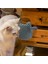 Cat Pet Kendini Bakım Tarak Fırçası - Yavru Kediler ve Köpek Yavruları Için Çok Amaçlı Kedi Masaj Eldiveni Aracı. Kolay Epilasyon Için Silikon Iğne (Küçük Mavi) (Yurt Dışından) 4
