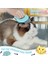 Kedi Tarak Evcil Hayvan Kısa ve Uzun Epilasyon Masaj Kabuk Tarak Yumuşak Dökülme Fırçası Bakım ve Dökülme Keçeleşmiş Kürk Sökücü Masaj Matlaştırıcı (Mavi) (Yurt Dışından) 2