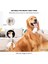 Köpek Ve Kedi Slicker Fırçası, Uzun Veya Kısa Tüylü Köpeklerin, Kedilerin, Evcil Hayvanların Bakımı, Ve Bakım Için Kıllarda Yeni Toplar, Masaj Parçacığı, (Mavi) (Yurt Dışından) 5