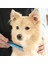 Küçük ve Büyük Çeşitler ve Bölgeler Için Küçük ve Büyük Pet Taraklar. Köpeğiniz ve Kediniz Için Premium Kaymaz, Rahat Tutuşlu Ergonomik Sap, (Açık Mavi) (Yurt Dışından) 4
