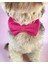 Pinky Pie Köpek Papyonu Kurdela Tasma 5