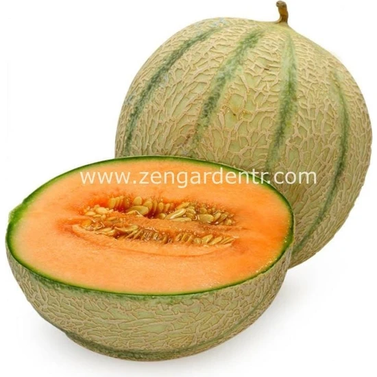 Zengarden Şekerküpü Kavun Tohumu Geleneksel Honey Rock Melon Seeds