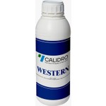 Çok Özel Fiyatlarla