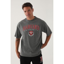 Harvard Erkek Antrasit Erkek Tshirt